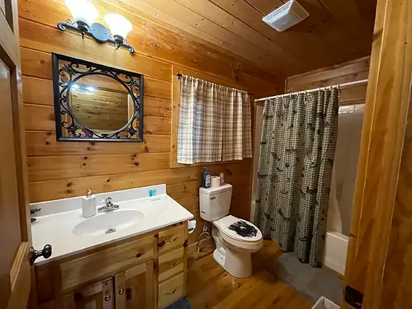 Alpenhaus Cabins-Helen Cabin Rentals