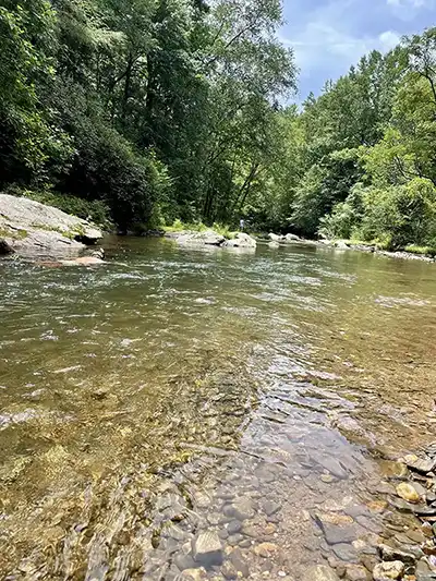 Mountain stream running through the wooded property at Alpenhaus Cabins