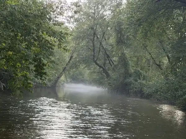 Misty river near the cabin