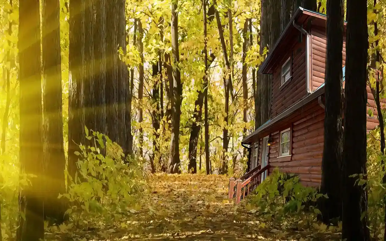 image of cabin in woods