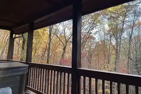 view from back porch of cabin